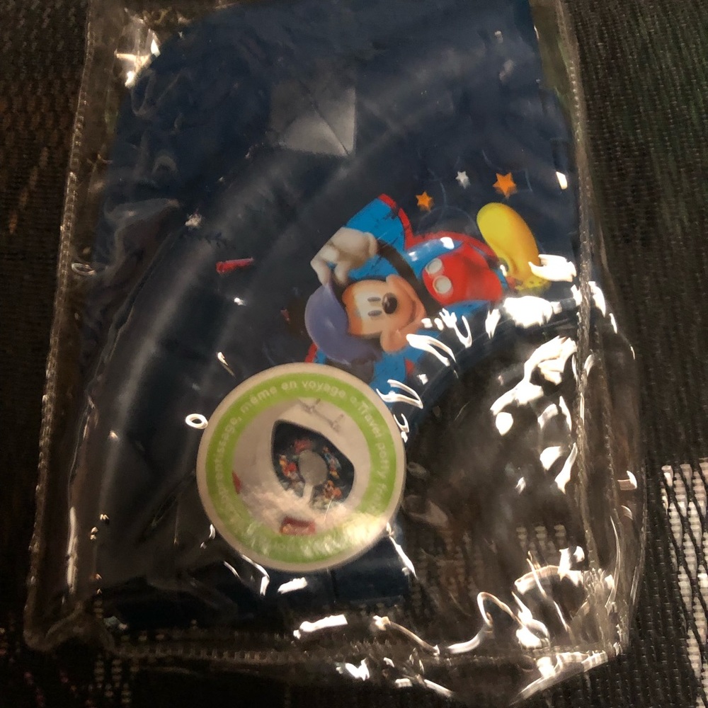 Disney Toilet Seat Potty Trainer- 523 $20 or $15 w/offer